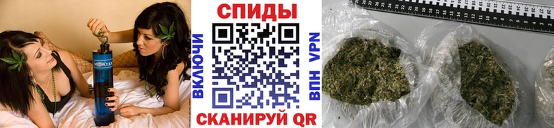 купить  цена  Кировград  БУТИРАТ Butirat 