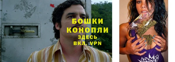 трава Абаза
