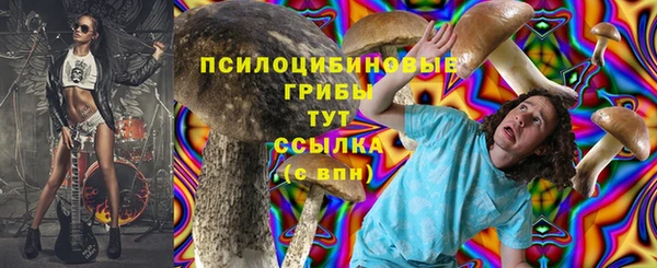трава Абаза