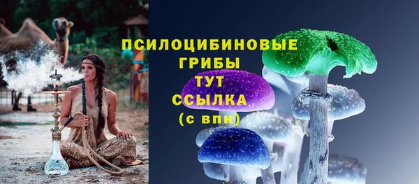 прущие грибы Семёнов
