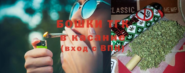 прущие грибы Семёнов