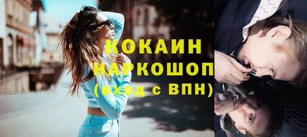 стаф Видное